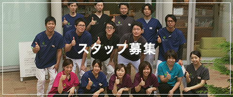スタッフ募集